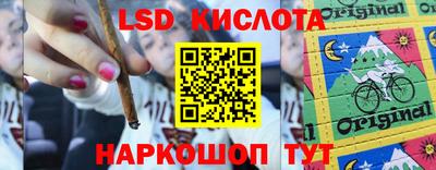 стафф Будённовск