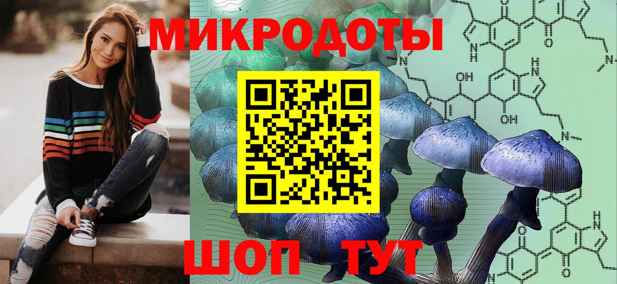 Галлюциногенные грибы Psilocybine cubensis Лениногорск