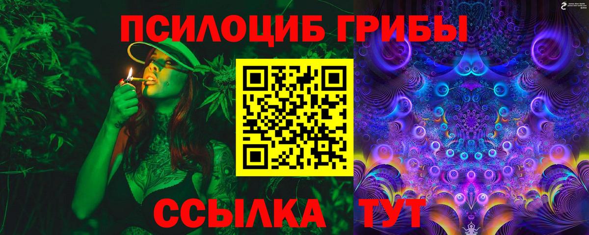 Лениногорск  Галлюциногенные грибы MAGIC MUSHROOMS  Вход с VPN 